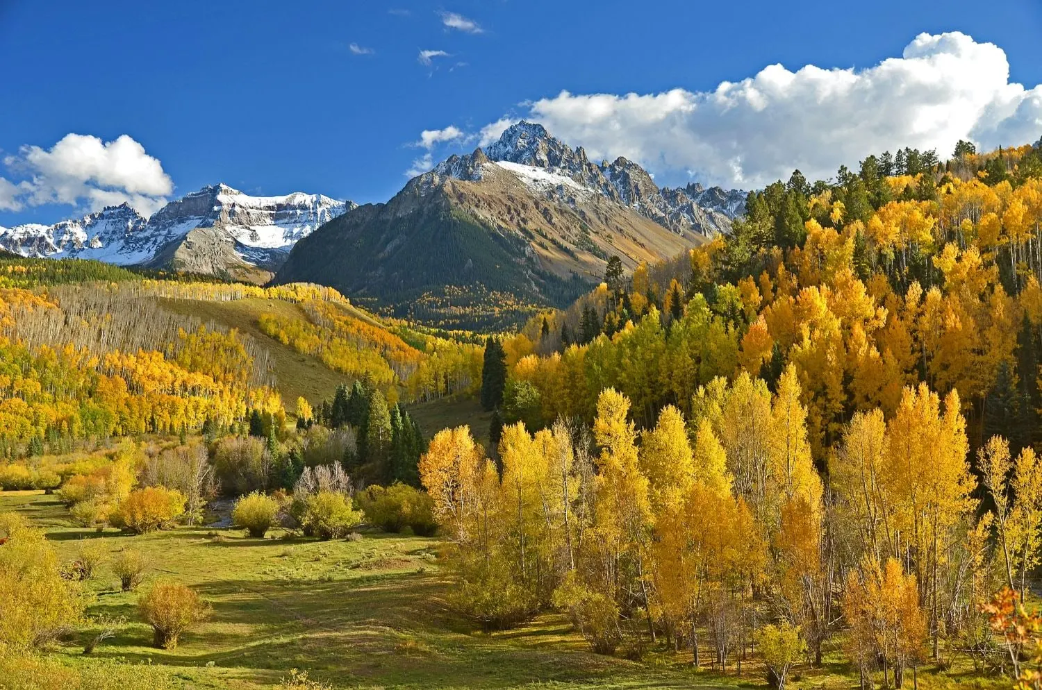 Golden aspen trees in fall color beneath snow-dusted mountain peaks