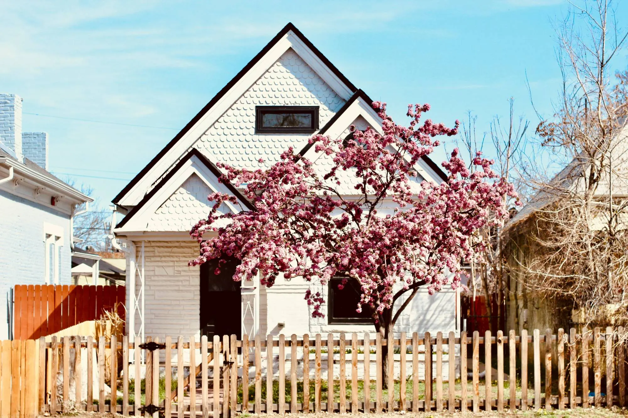 White gabled house with a picket fence and a pink-blossoming tree in the front yard